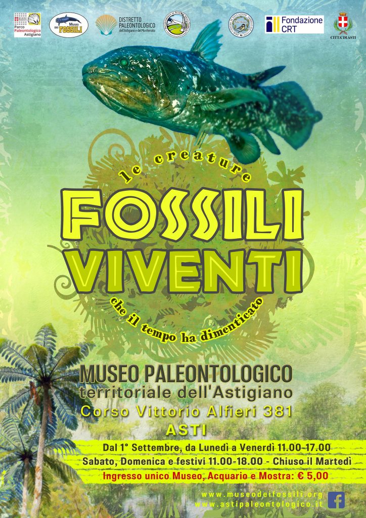 Museo Paleontologico: alla scoperta dei fossili viventi