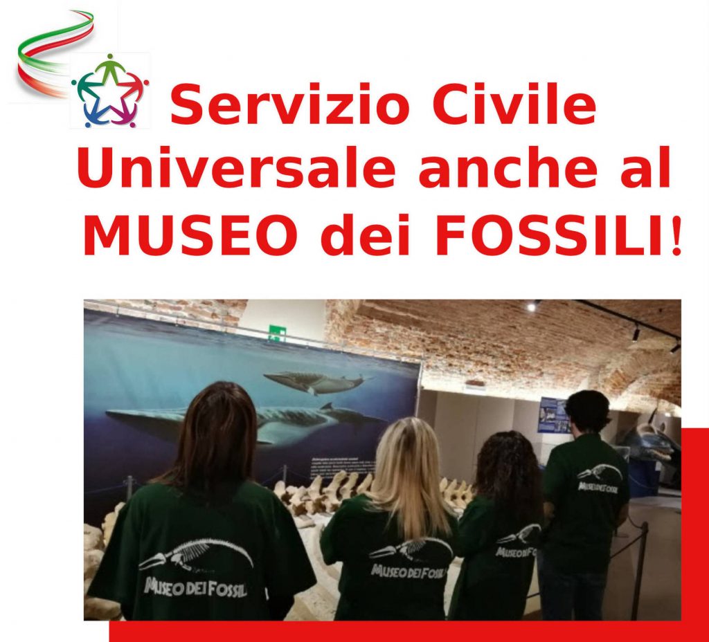 SCEGLI IL SERVIZIO CIVILE UNIVERSALE AL MUSEO DEI FOSSILI!