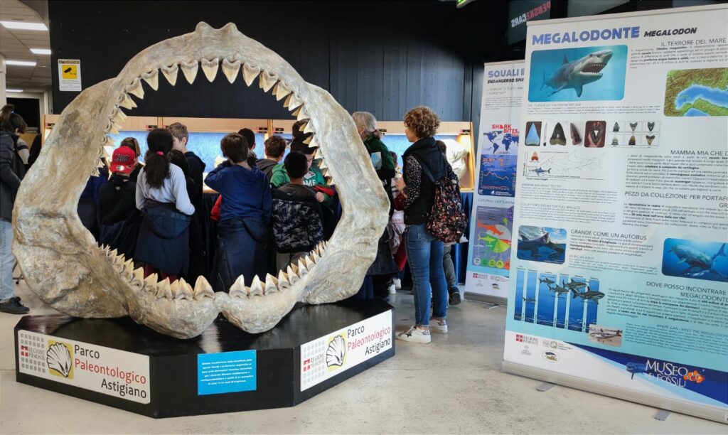 BOLOGNA MINERAL SHOW: anche quest’anno il Parco Paleontologico protagonista!