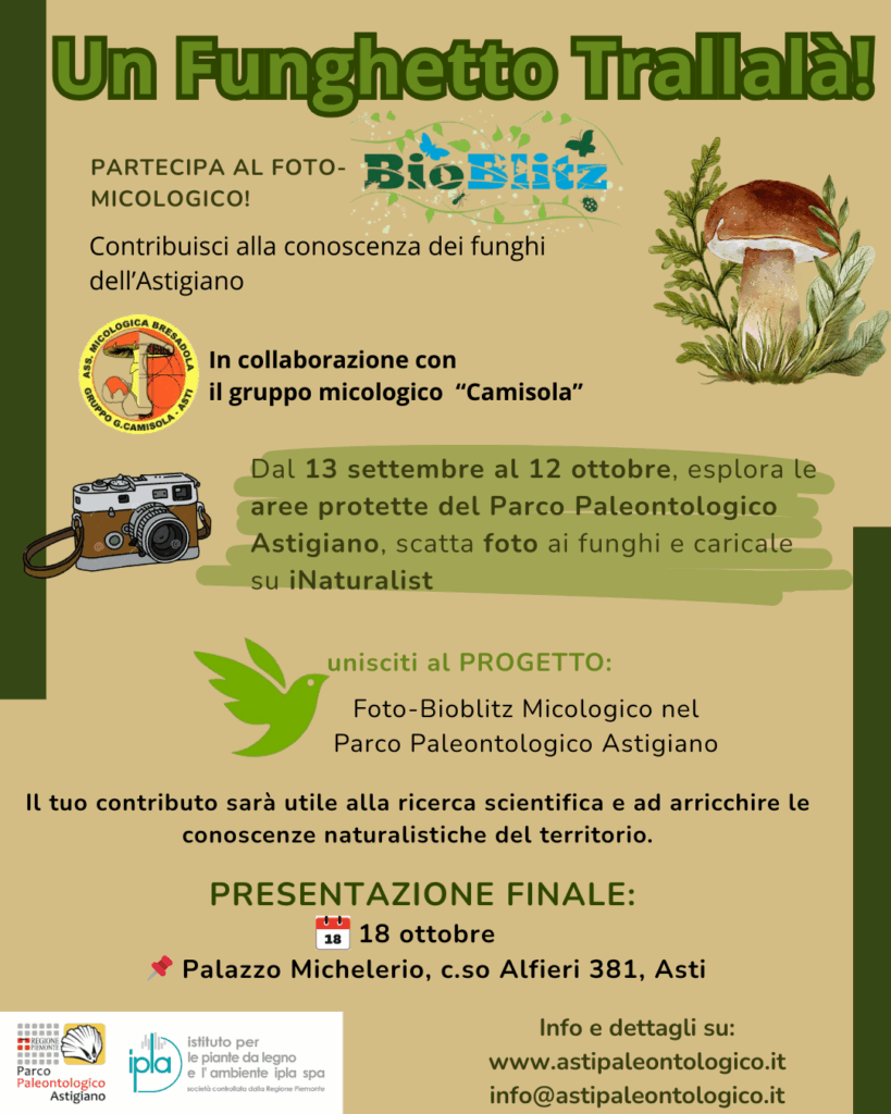 BIOBLITZ! Alla scoperta dei funghi dell’Astigiano: un funghetto trallalà!