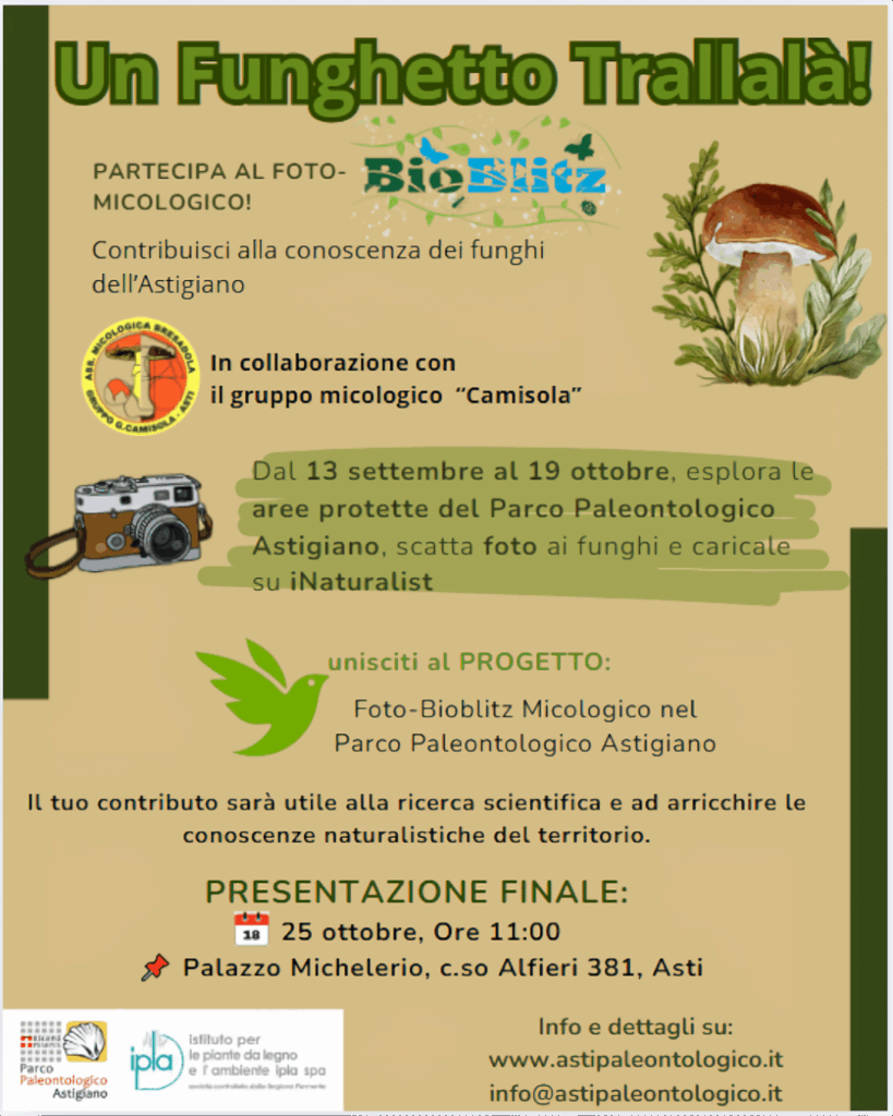 BIOBLITZ! Alla scoperta dei funghi dell’Astigiano: un funghetto trallalà!