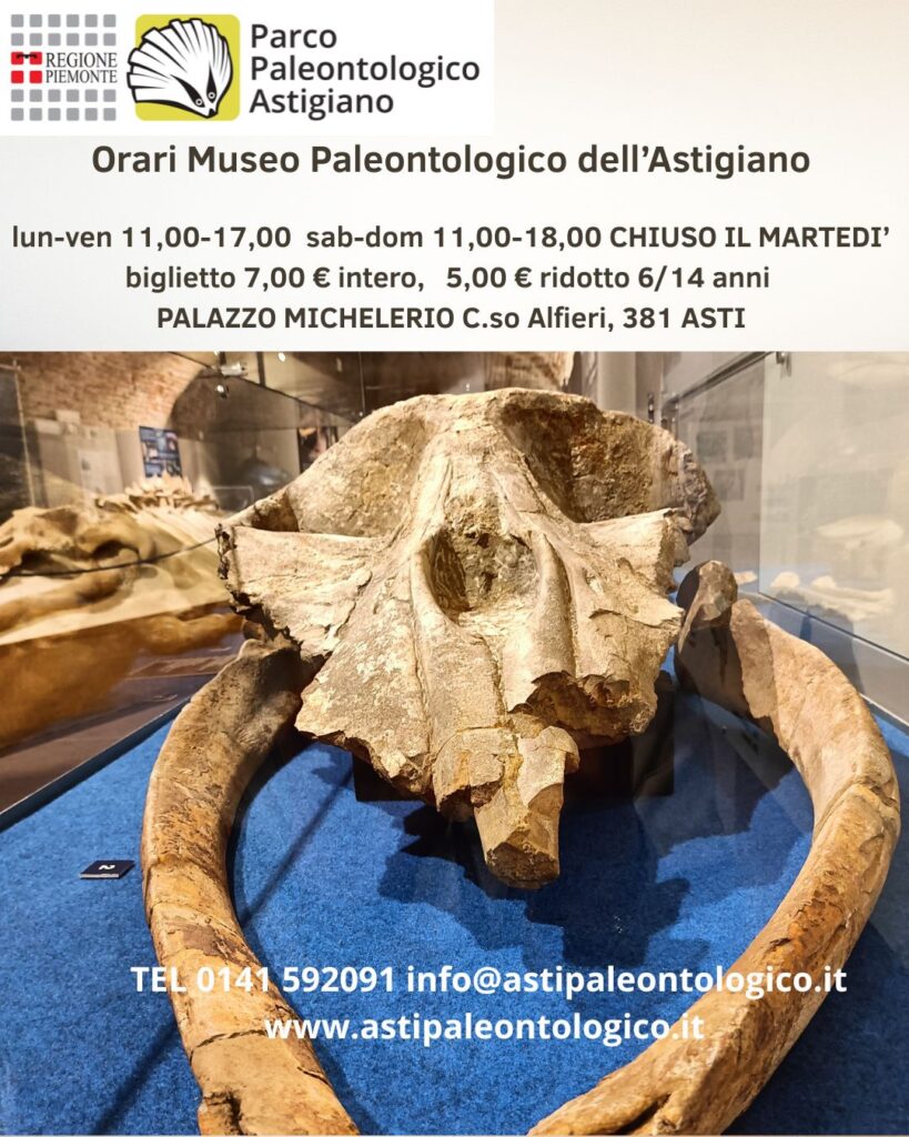 Orari Museo dei Fossili
