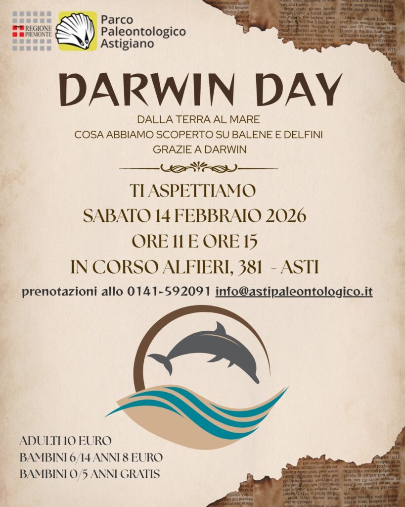 Un viaggio dalla terra al mare