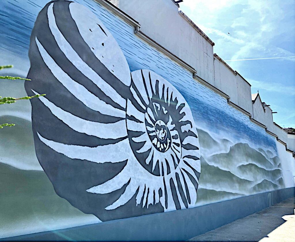Il mare che non ti aspetti in collina: aumentano i murales che raccontano la storia dei fossili