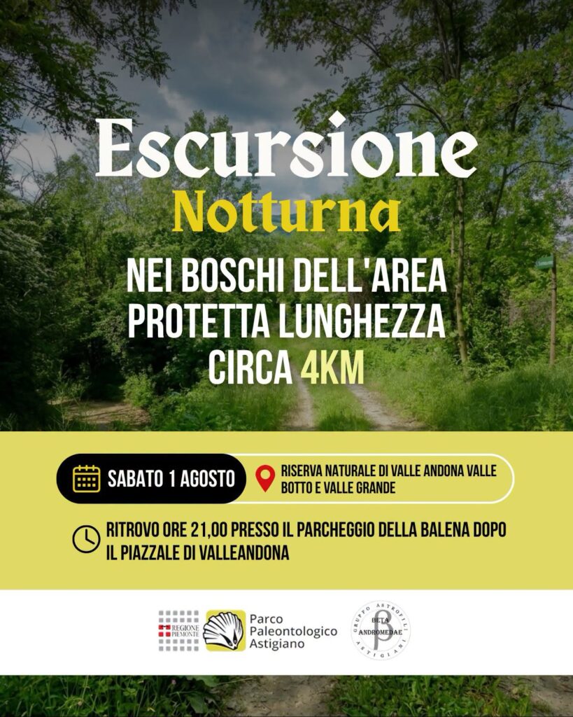 1 Agosto notturna in Valle Andona!