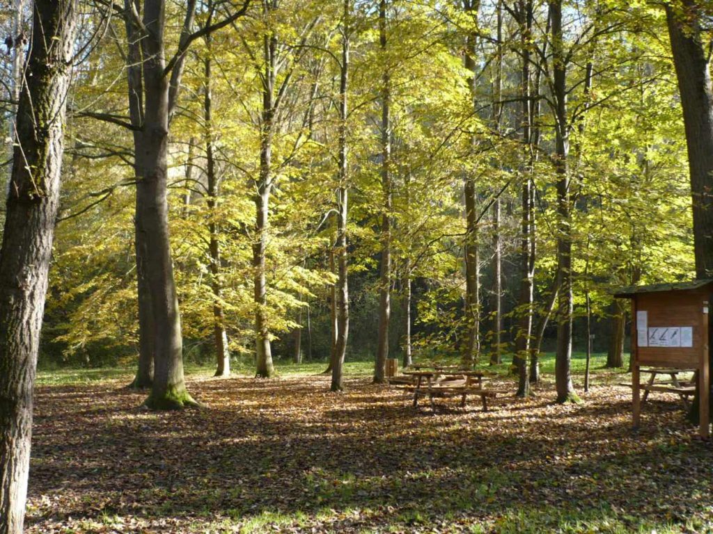 Con cinque progetti il Parco Paleontologico investe sul futuro delle aree protette