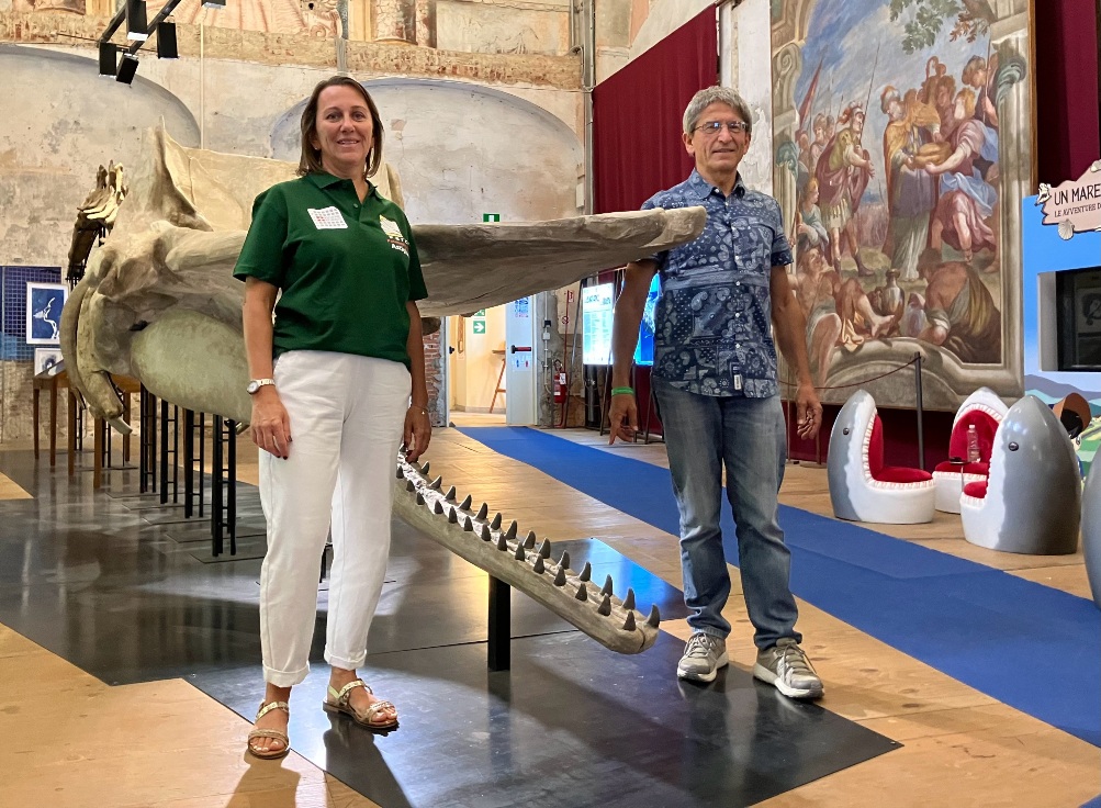 Il capodoglio fa stringere amicizia tra Asti, Vasto, Rimini, Lampedusa e Rodi Garganico