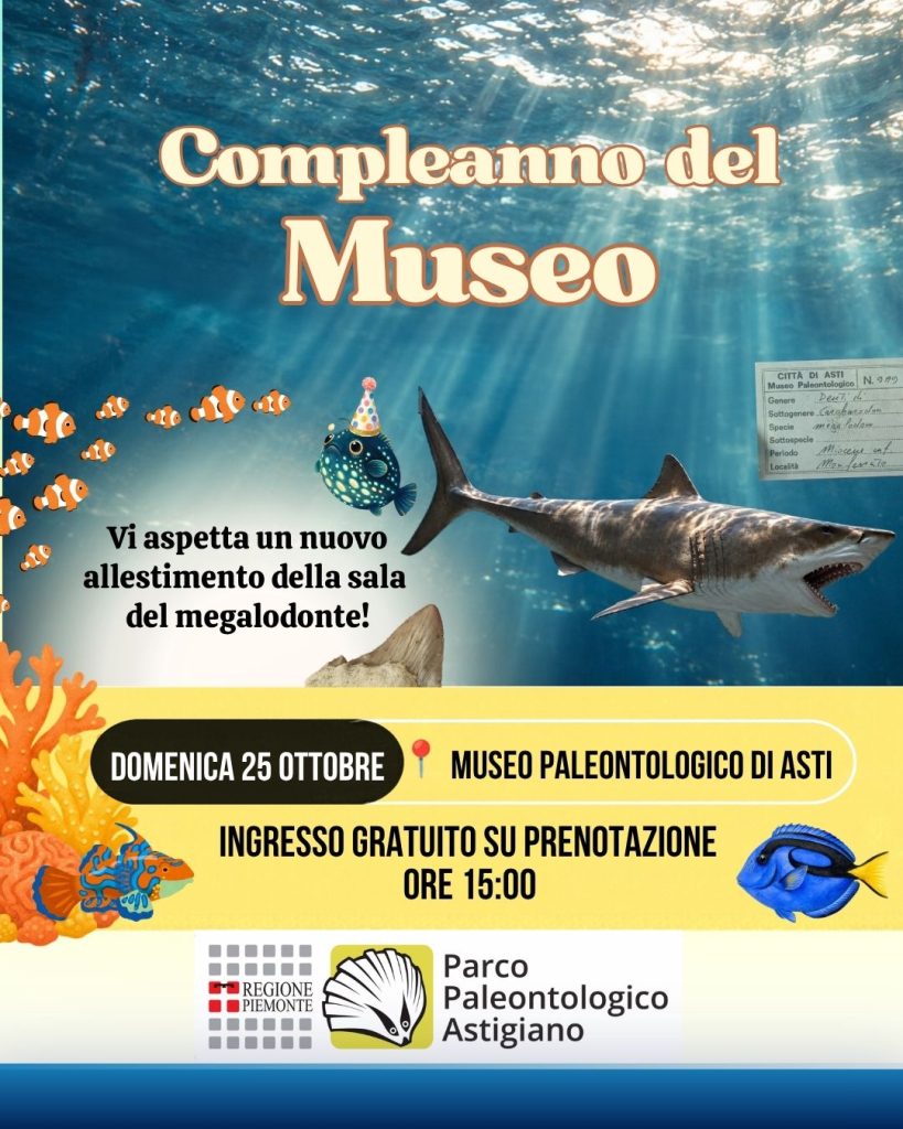 COMPLEANNO DEL MUSEO