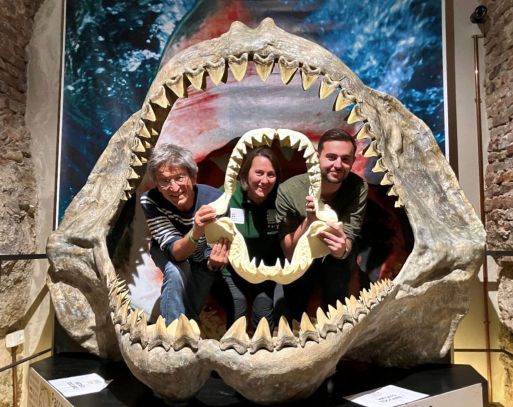 Il Museo dei fossili festeggia 13 anni e rinnova la Sala degli squali preistorici