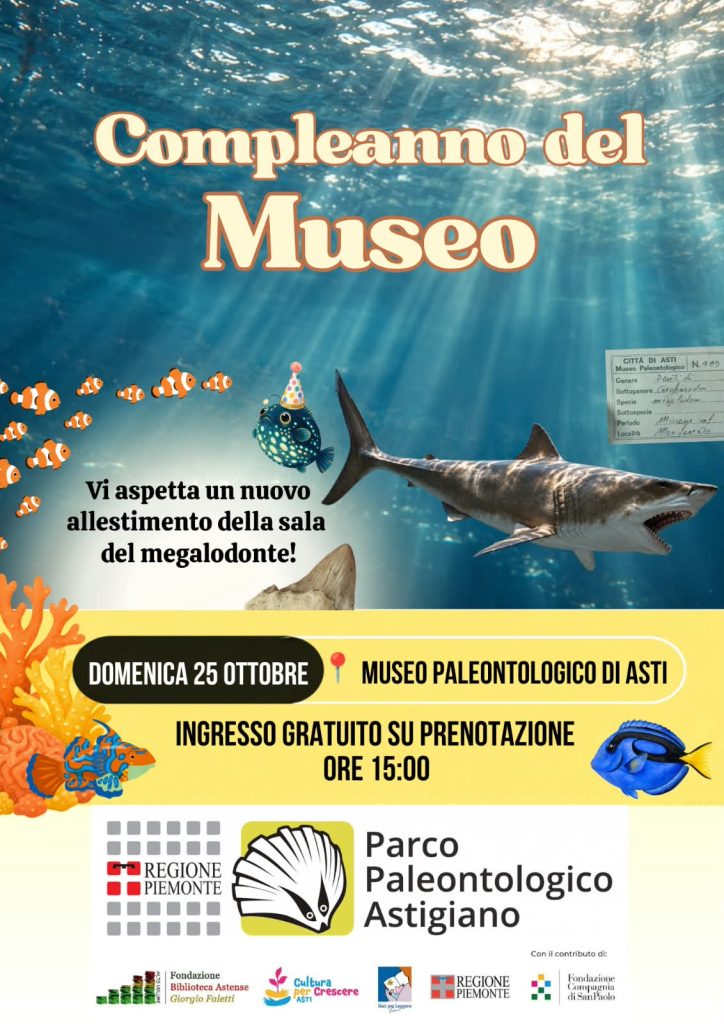 COMPLEANNO DEL MUSEO